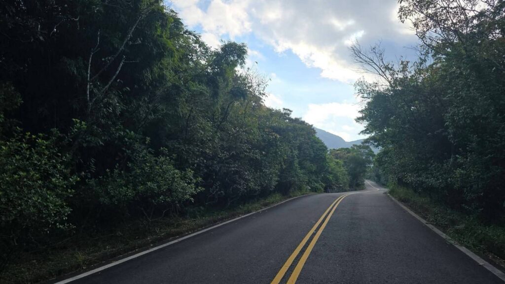 前往陽明山小油坑途中的山林道路